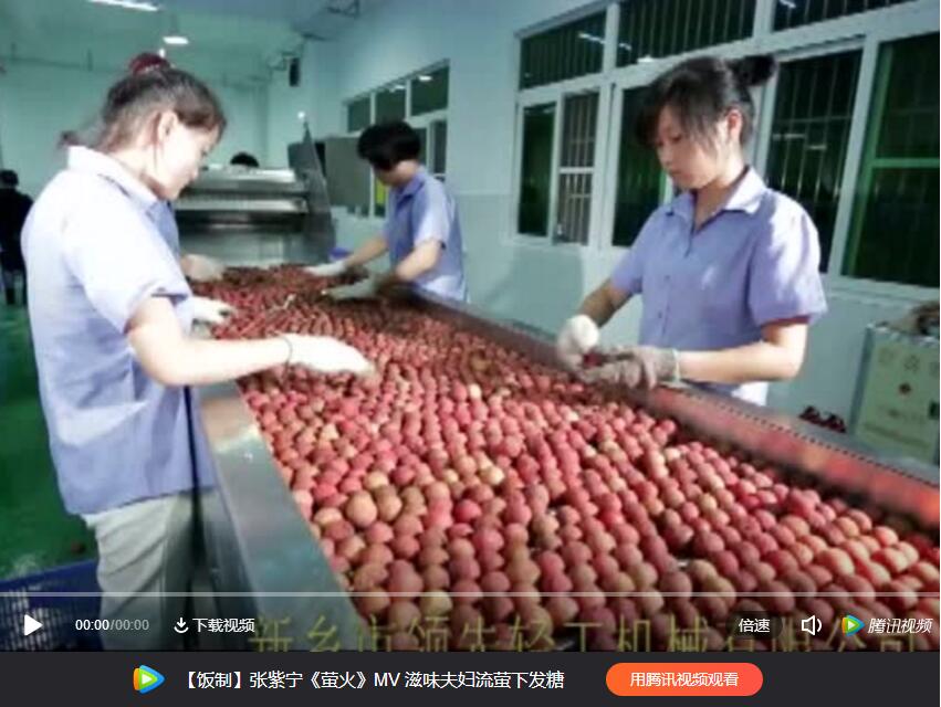 荔枝去皮去核生产线