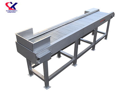 湖南O型果专用选果机