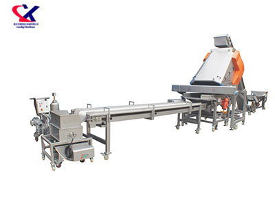 湖南葡萄除梗粒选生产线