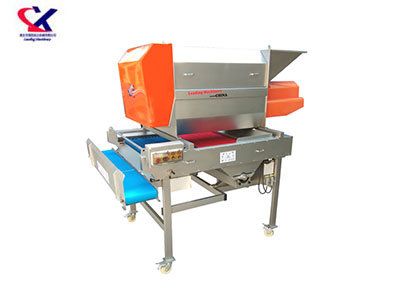 湖南转筒式葡萄除梗粒选一体机