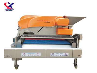 湖南链板式葡萄除梗粒选机