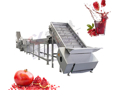 湖南石榴果汁生产线